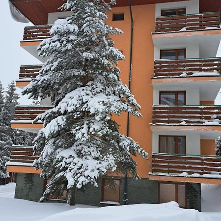 Apartman Palenica II Tatranska Strba Dış mekan fotoğraf