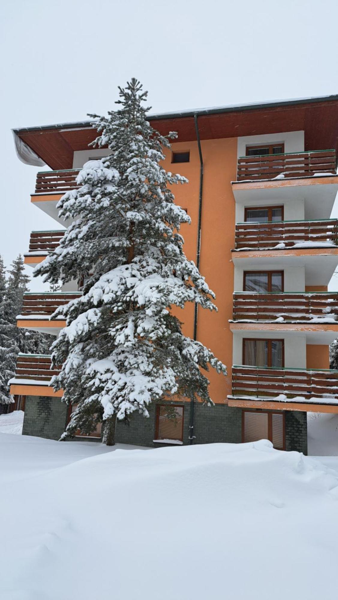 Apartman Palenica II Tatranska Strba Dış mekan fotoğraf